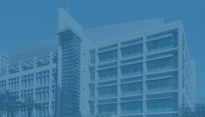 Barrow Brain and Spine